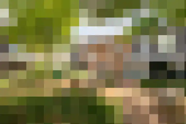 Anton Pieckhof 3 Utrecht thumbnail 30
