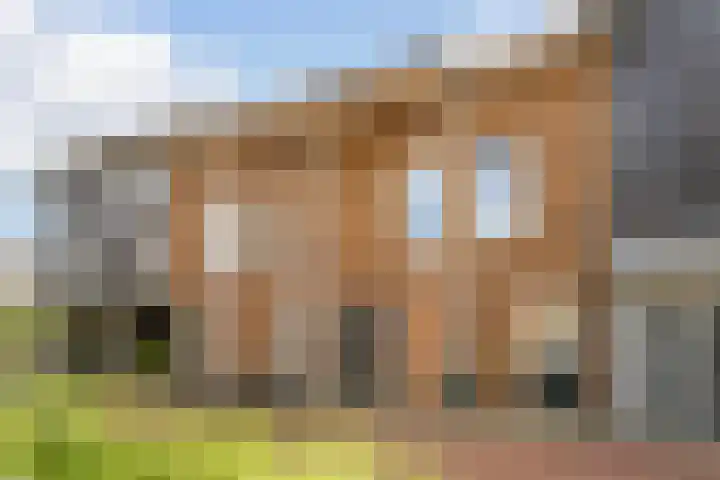 Anton Pieckhof 3 Utrecht thumbnail 31