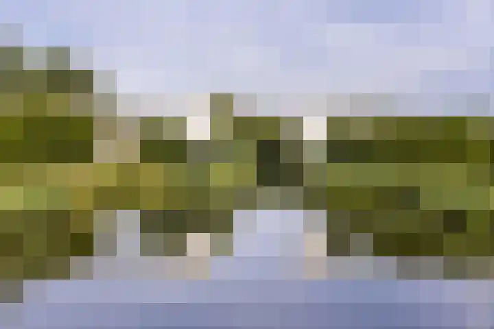 Anton Pieckhof 3 Utrecht thumbnail 35