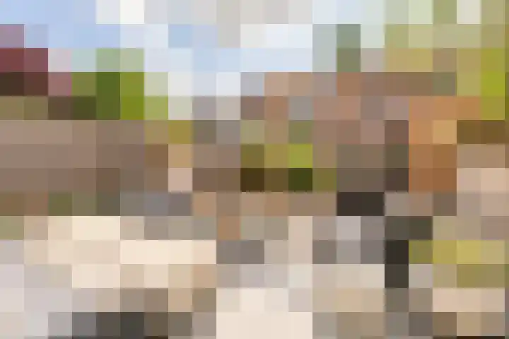 Anton Pieckhof 3 Utrecht thumbnail 4