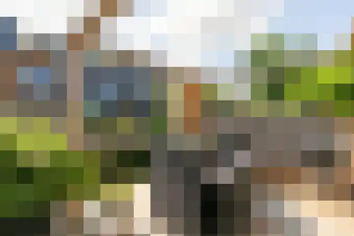 Anton Pieckhof 3 Utrecht thumbnail 5
