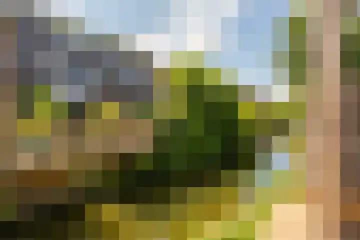 Anton Pieckhof 3 Utrecht thumbnail 6