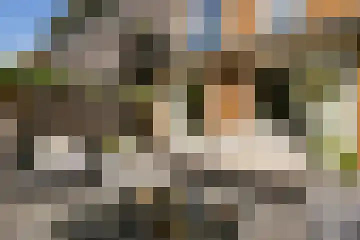 Anton Pieckhof 3 Utrecht thumbnail 8