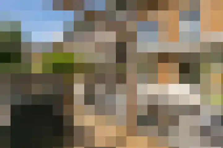 Anton Pieckhof 3 Utrecht thumbnail 9