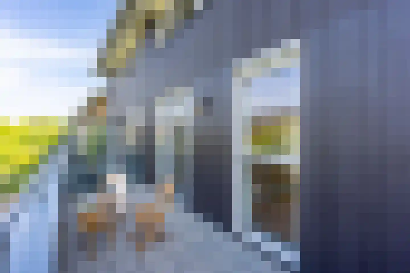 Anton Pieckhof 4 Utrecht thumbnail 42
