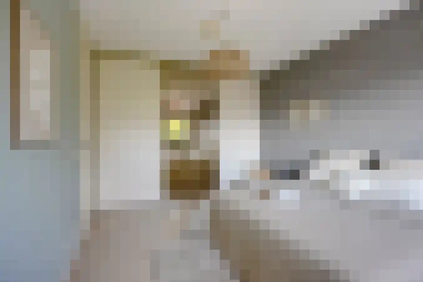Anton Pieckhof 4 Utrecht thumbnail 56