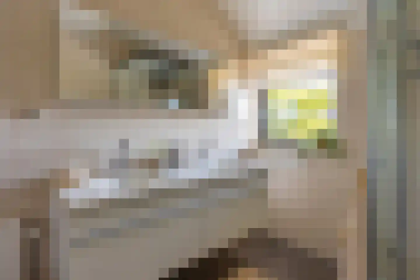 Anton Pieckhof 4 Utrecht thumbnail 59