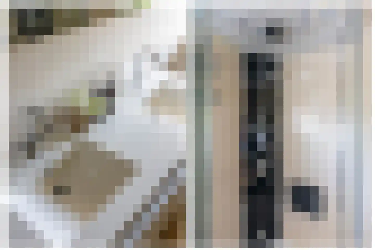Anton Pieckhof 4 Utrecht thumbnail 60