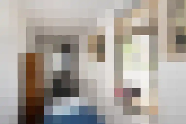 Anton Rooskenshof 22 Utrecht thumbnail 13