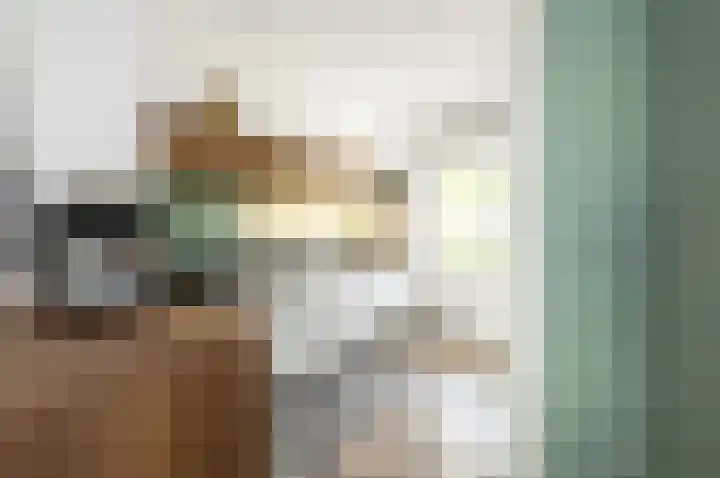 Anton Rooskenshof 22 Utrecht thumbnail 17