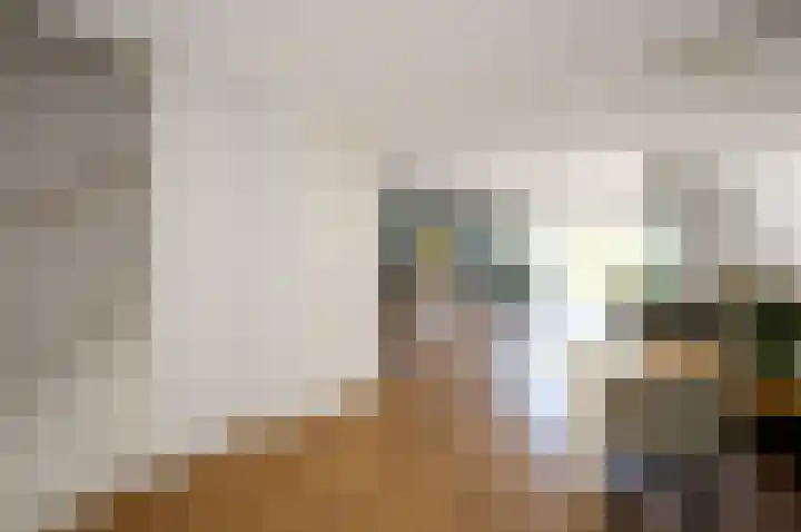 Anton Rooskenshof 22 Utrecht thumbnail 21