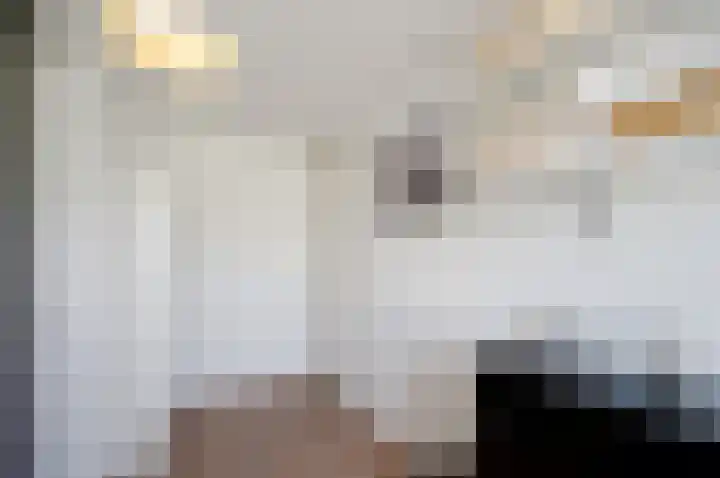 Anton Rooskenshof 22 Utrecht thumbnail 28