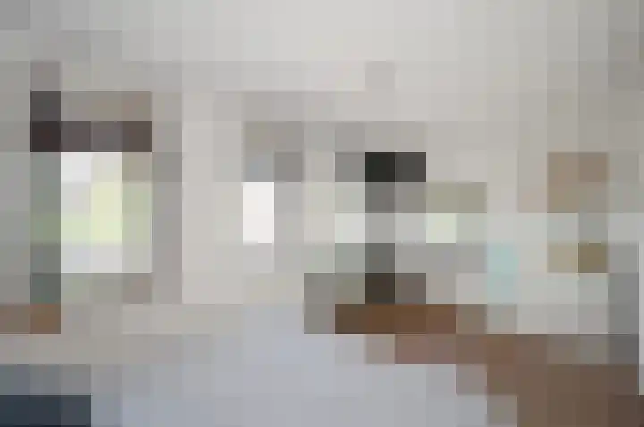Anton Rooskenshof 22 Utrecht thumbnail 33