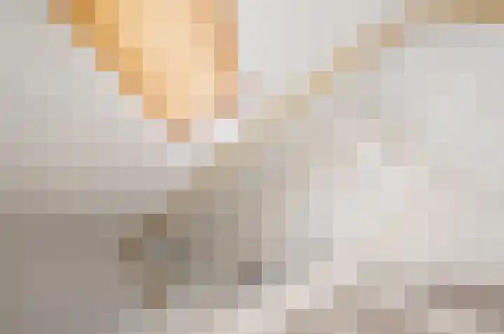 Anton Rooskenshof 22 Utrecht thumbnail 34