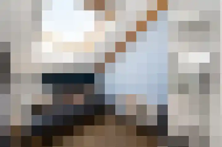 Anton Rooskenshof 22 Utrecht thumbnail 35