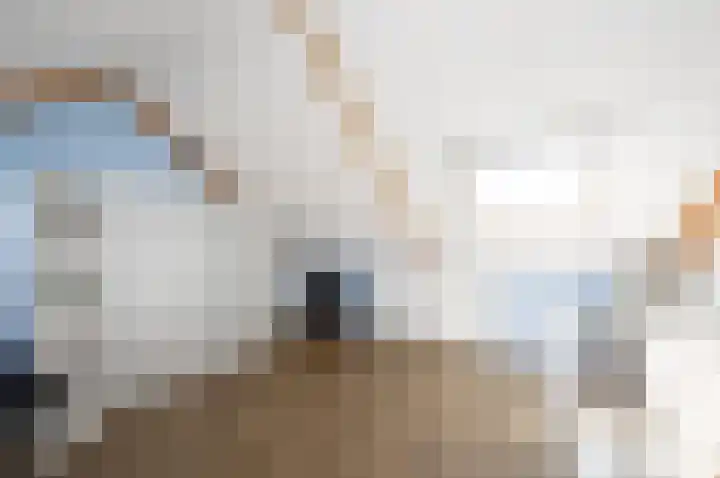 Anton Rooskenshof 22 Utrecht thumbnail 36