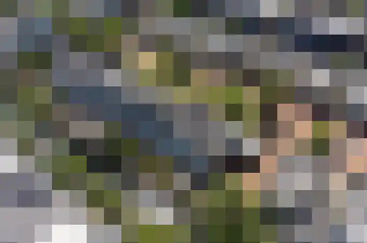 Anton Rooskenshof 22 Utrecht thumbnail 45