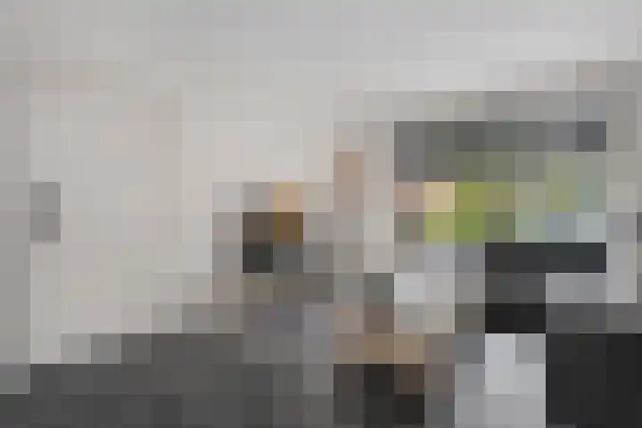 Anton van der Horststraat 7 Dedemsvaart thumbnail 10
