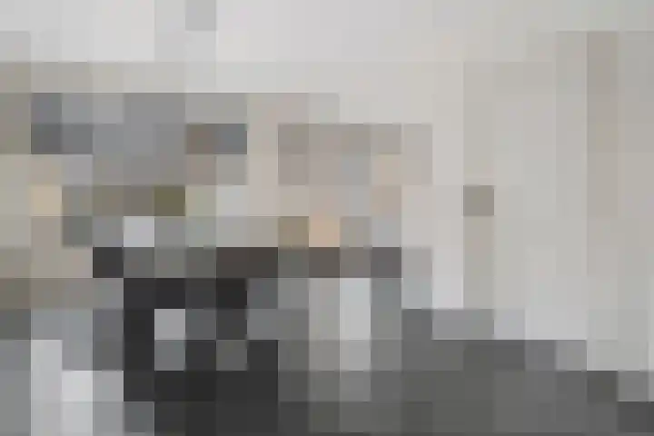 Anton van der Horststraat 7 Dedemsvaart thumbnail 12