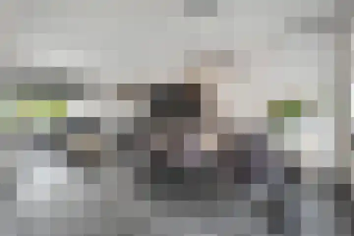 Anton van der Horststraat 7 Dedemsvaart thumbnail 14