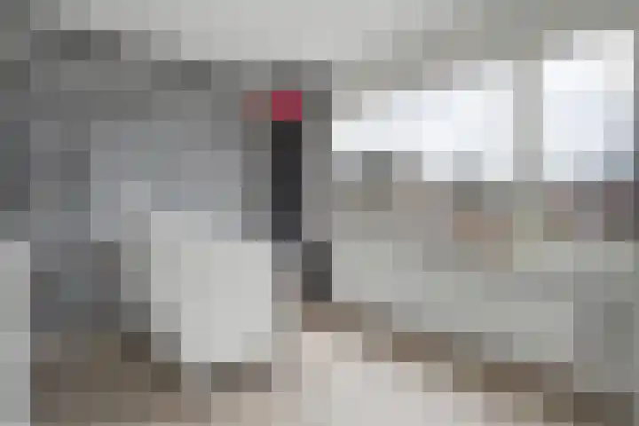 Anton van der Horststraat 7 Dedemsvaart thumbnail 19