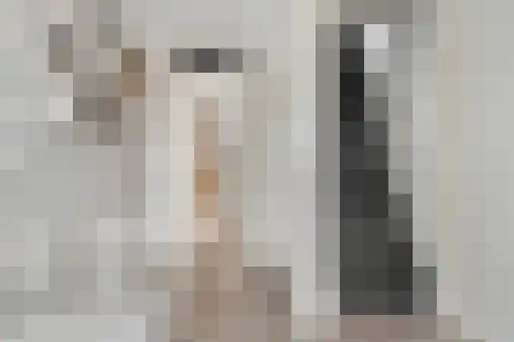 Anton van der Horststraat 7 Dedemsvaart thumbnail 22