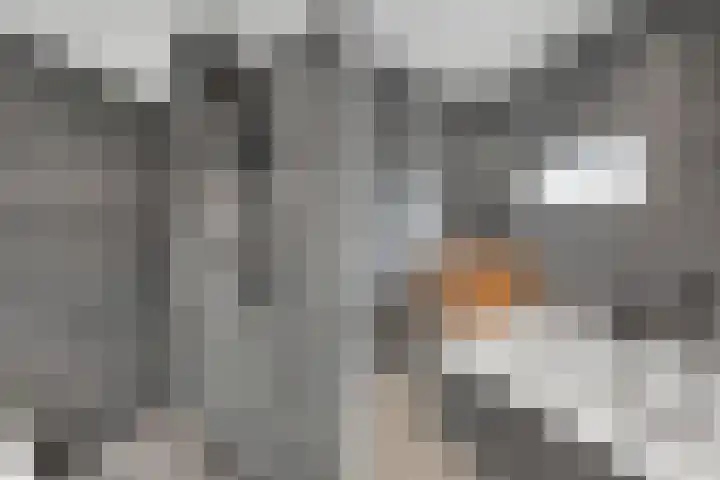Anton van der Horststraat 7 Dedemsvaart thumbnail 24