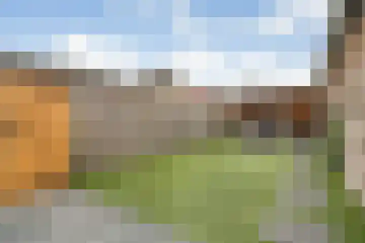 Anton van der Horststraat 7 Dedemsvaart thumbnail 29