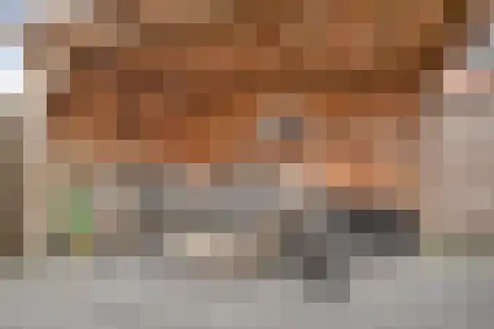 Anton van der Horststraat 7 Dedemsvaart thumbnail 33