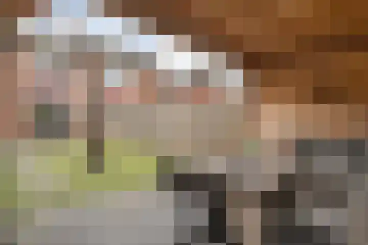 Anton van der Horststraat 7 Dedemsvaart thumbnail 34