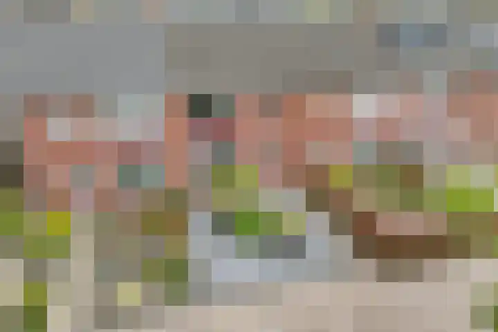 Anton van der Horststraat 7 Dedemsvaart thumbnail 35