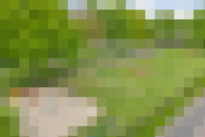 Anton van der Horststraat 7 Dedemsvaart thumbnail 38