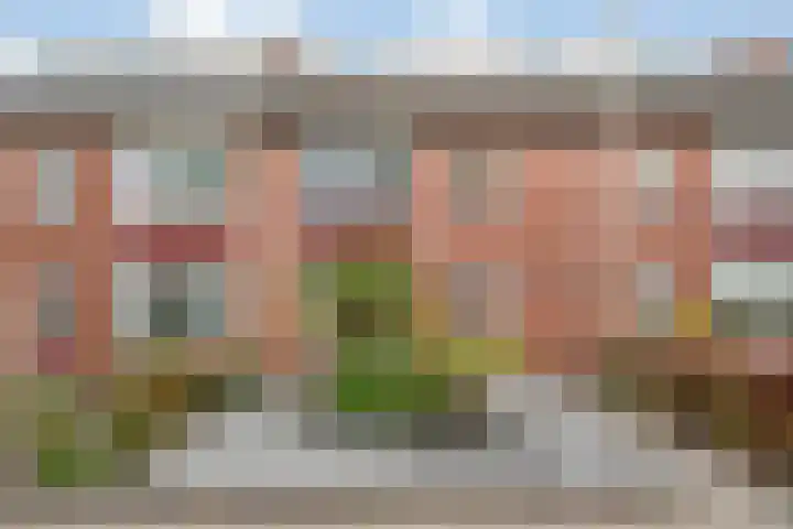 Anton van der Horststraat 7 Dedemsvaart thumbnail 4
