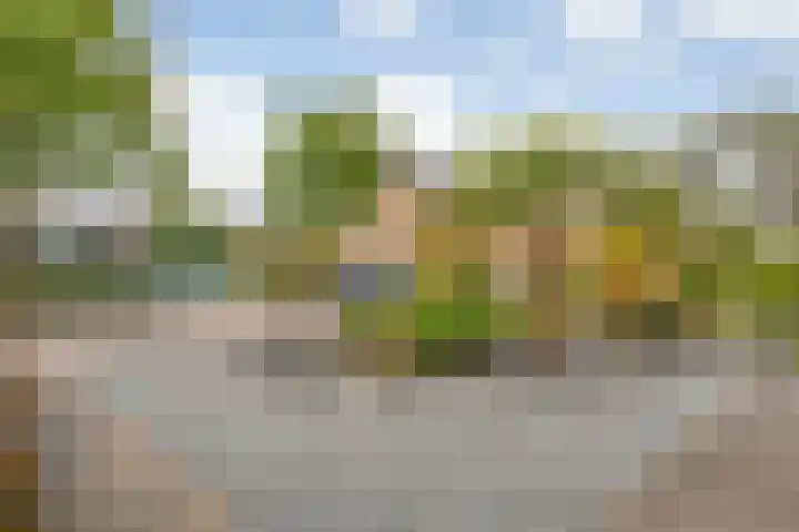 Anton van der Horststraat 7 Dedemsvaart thumbnail 6