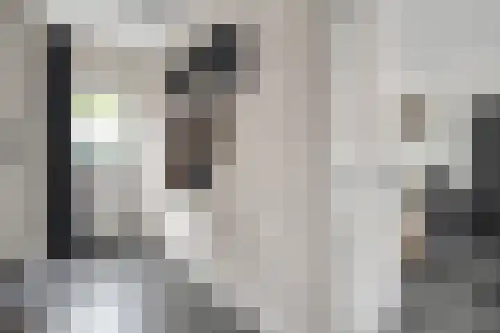 Anton van der Horststraat 7 Dedemsvaart thumbnail 7