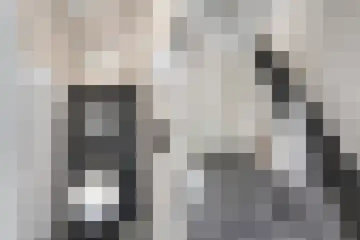 Anton van der Horststraat 7 Dedemsvaart thumbnail 8