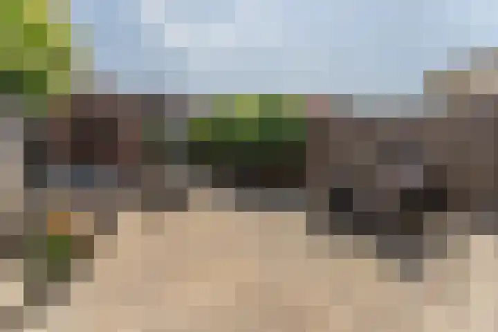 Anton van Duinkerkenlaan 108 De Meern thumbnail 10