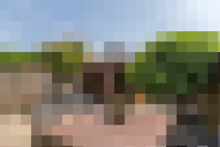 Anton van Duinkerkenlaan 108 De Meern thumbnail 11
