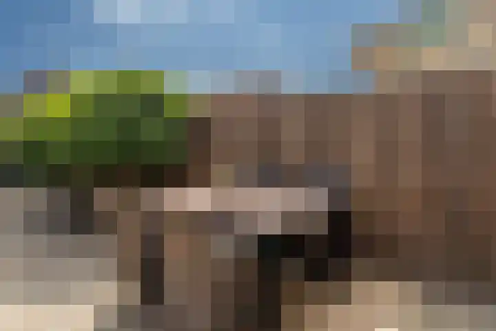 Anton van Duinkerkenlaan 108 De Meern thumbnail 12
