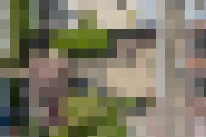 Anton van Duinkerkenlaan 108 De Meern thumbnail 15