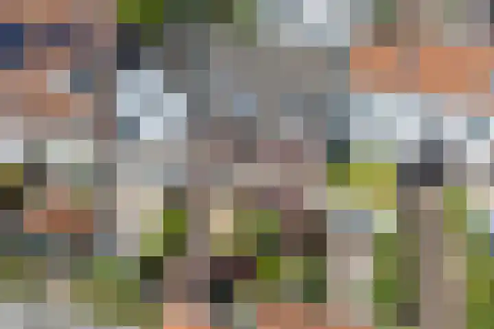 Anton van Duinkerkenlaan 108 De Meern thumbnail 17