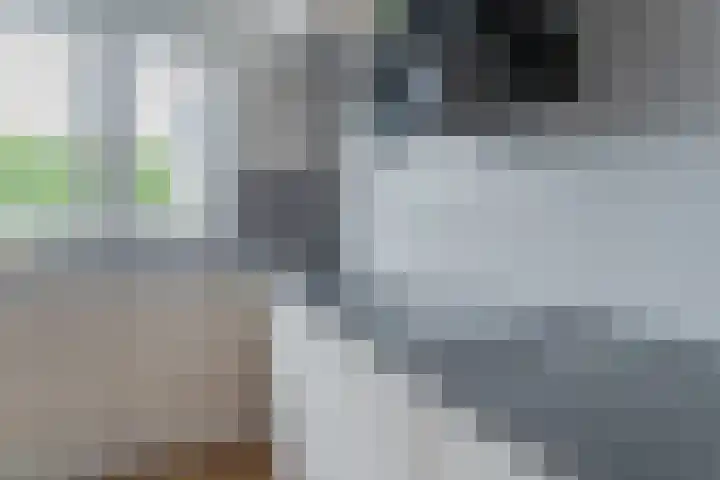 Anton van Duinkerkenlaan 108 De Meern thumbnail 26