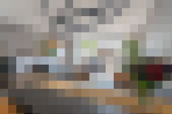 Anton van Duinkerkenlaan 108 De Meern thumbnail 29