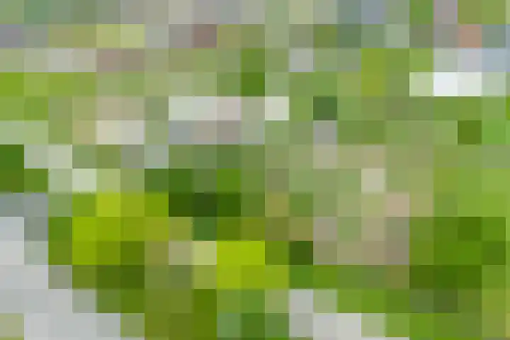 Anton van Duinkerkenlaan 108 De Meern thumbnail 54