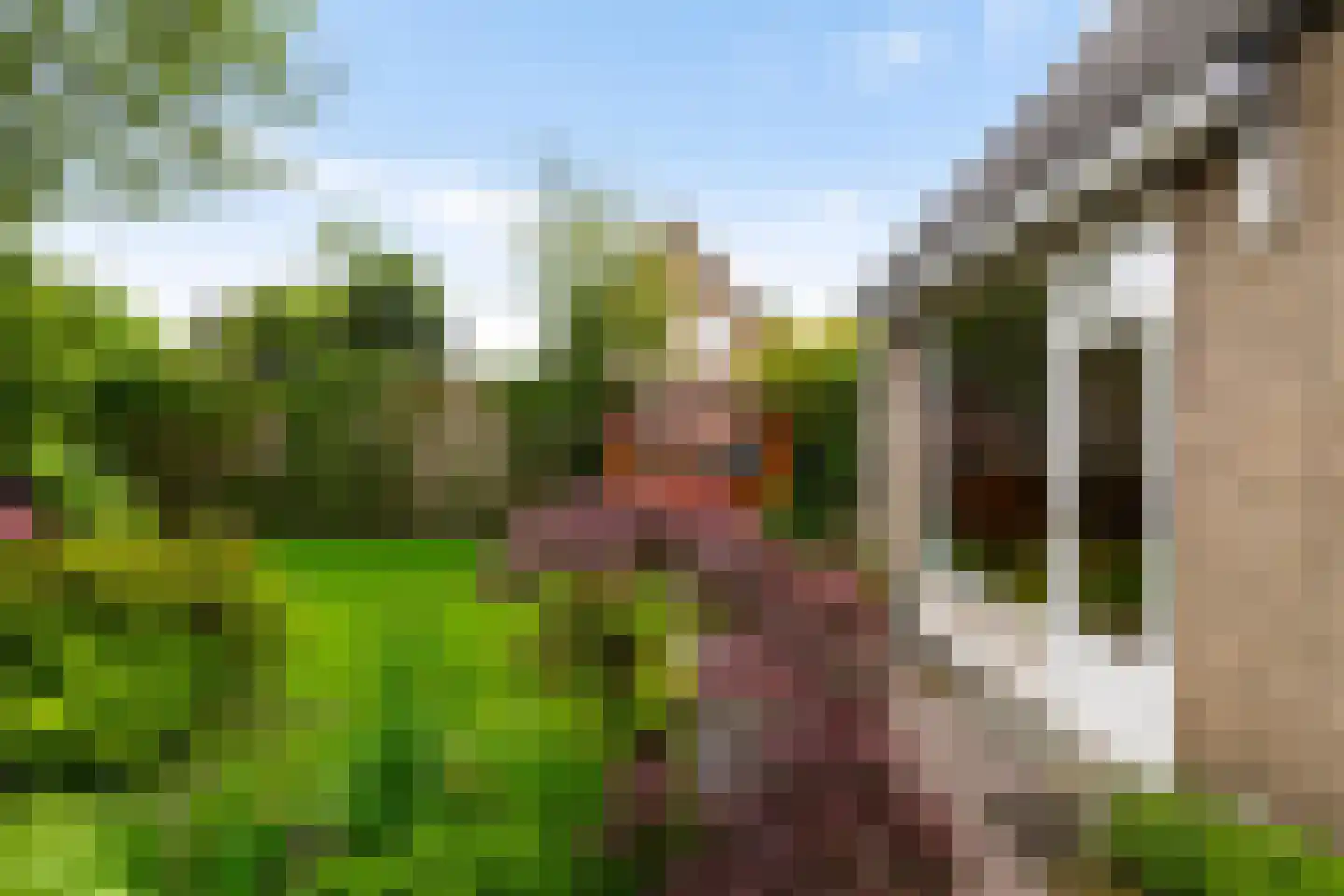 Anton van Duinkerkenlaan 28 Assen thumbnail 41