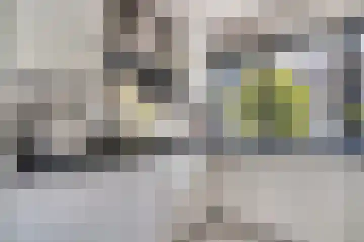Anton van Duinkerkenlaan 32 Amstelveen thumbnail 11