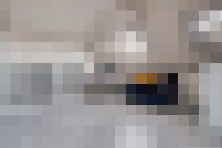Anton van Duinkerkenlaan 32 Amstelveen thumbnail 19