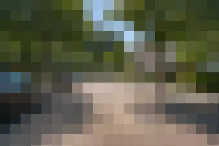 Anton van Duinkerkenlaan 32 Amstelveen thumbnail 24