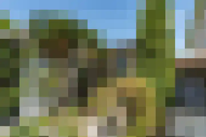 Anton van Duinkerkenlaan 32 Amstelveen thumbnail 6