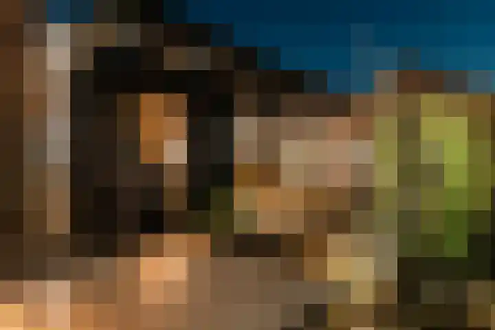 Anton van Duinkerkenlaan 65 De Meern thumbnail 107